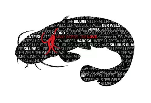 16-Sticker-SOMN-seria-Words