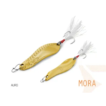 Lingurita oscilanta Delphin MORA-1