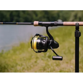 Delphin MAGIX 5T DP-1