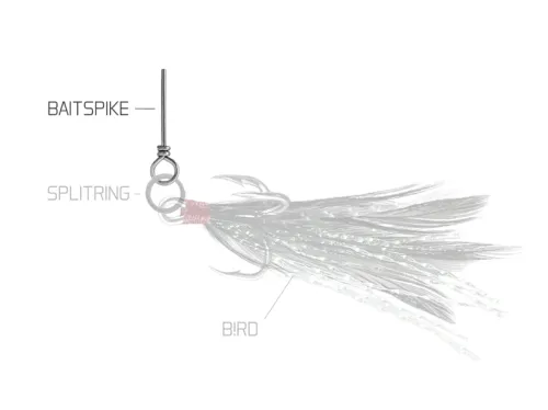 18-Delphin-BAIT-SPIKE