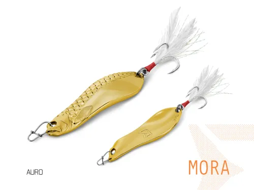 3-Lingurita-oscilanta-Delphin-MORA