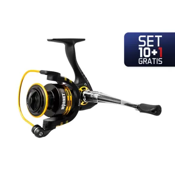 10+1 - Delphin HORNET 50 / 3+1-1