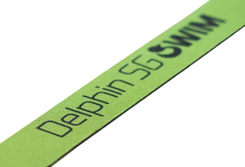 Delphin SWIM-1