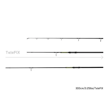 10+1 - Delphin STALX-1